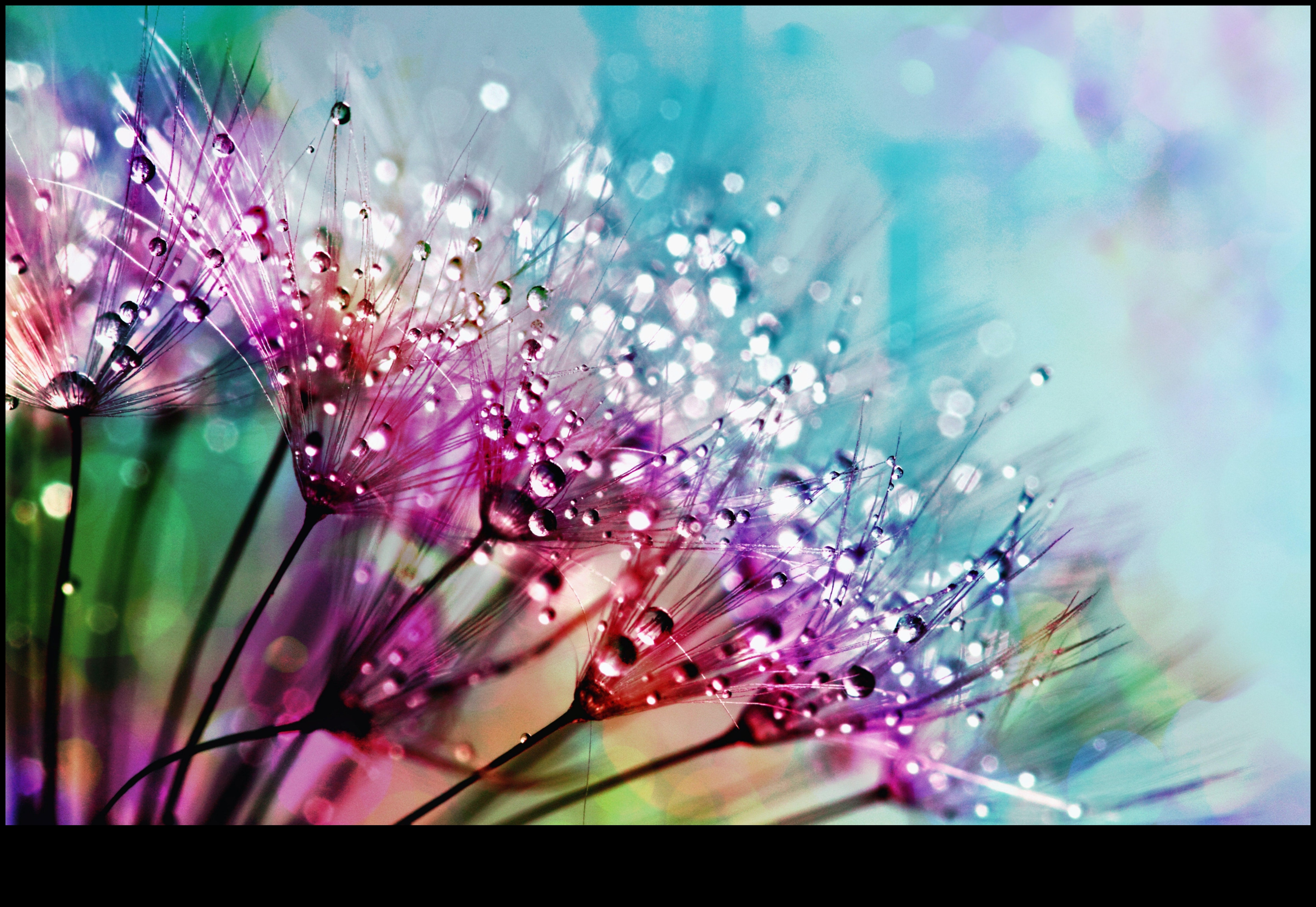 הארה מורכבת: שליטה באמנות האור עם סגנונות צילום מאקרו