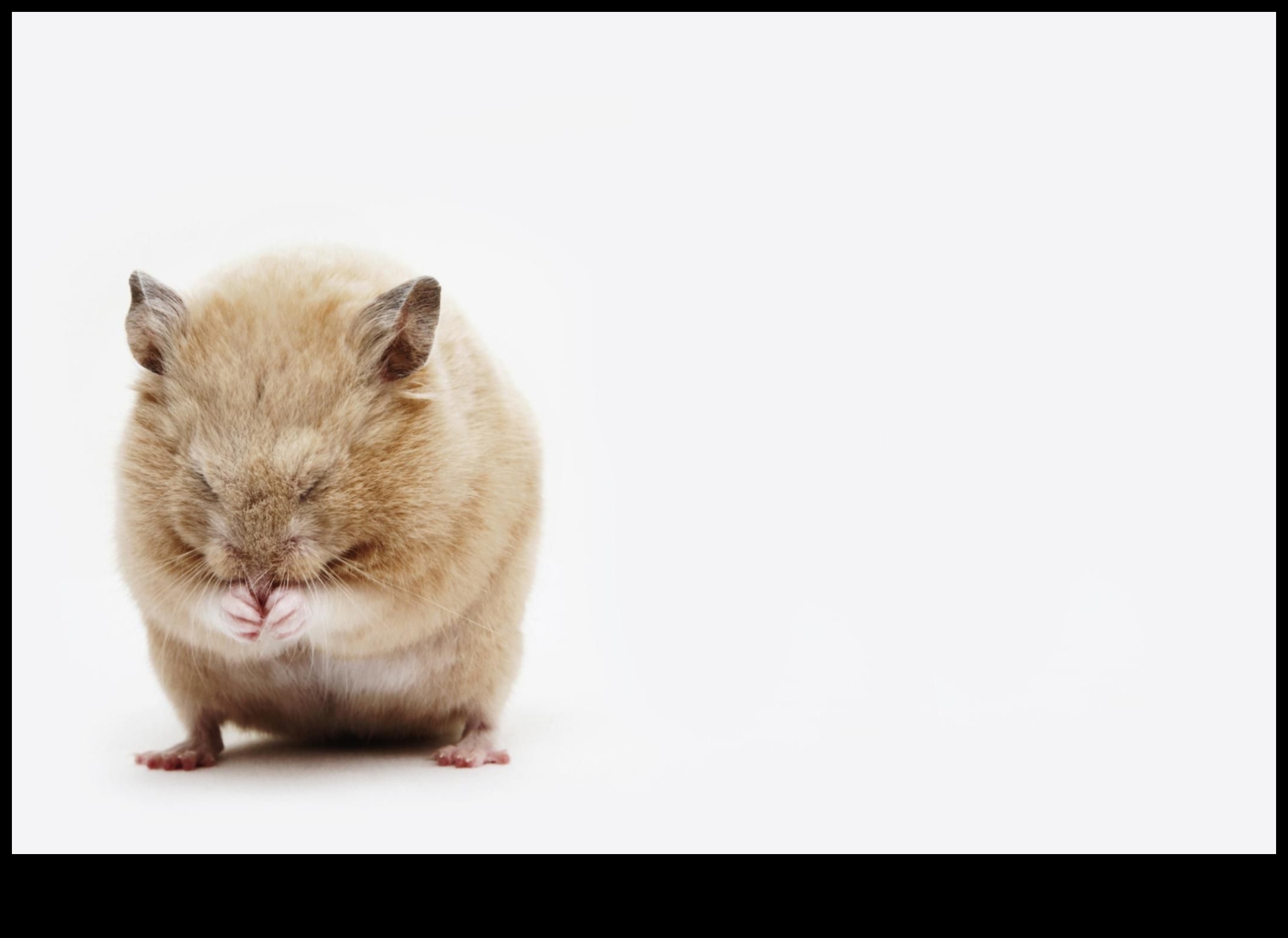 המשך בדיקת בריאות אוגר איתור סימנים מוקדמים של מחלות 3 המשך בדיקת בריאות האוגר: איתור סימנים מוקדמים של מחלות