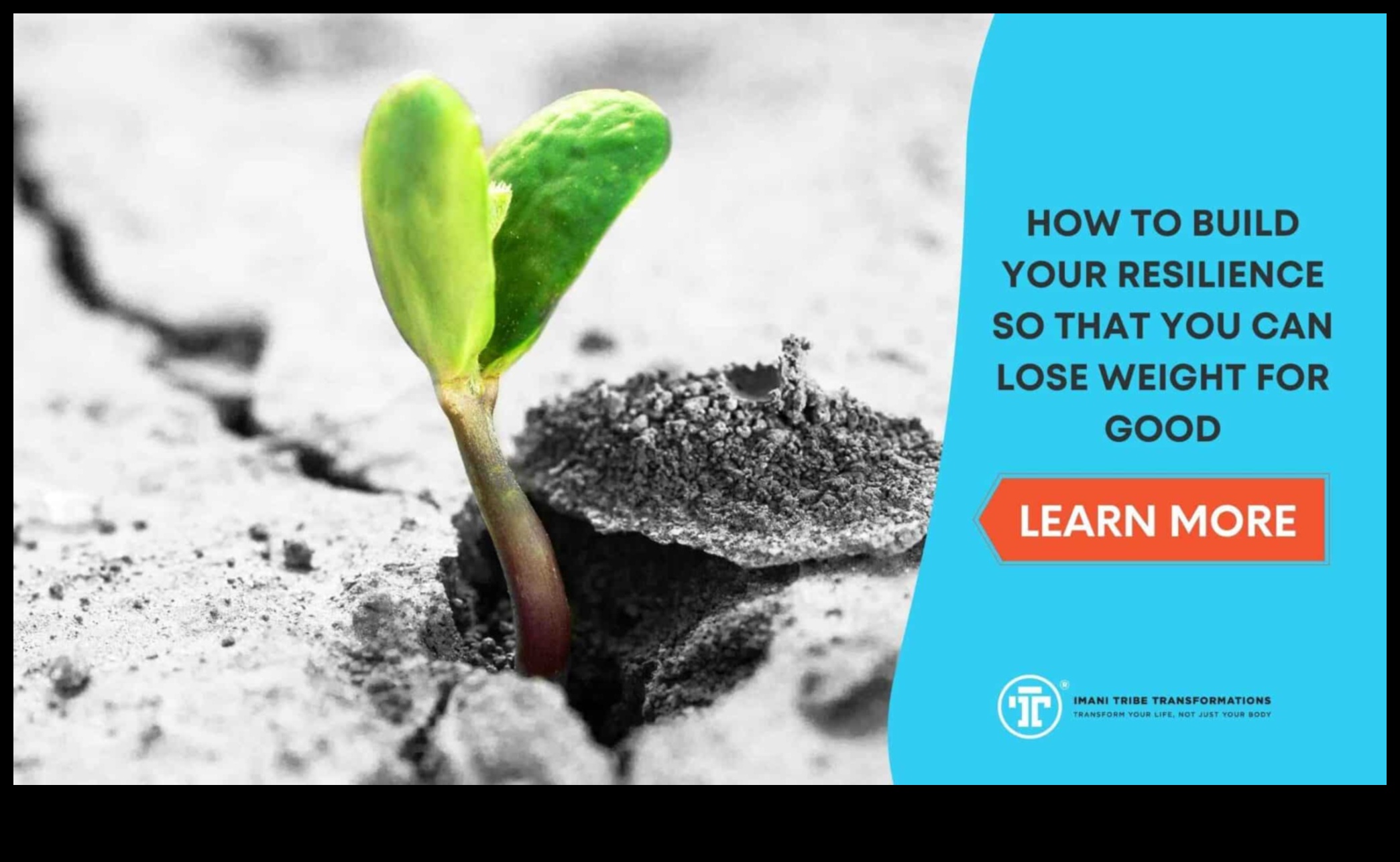 דיאטות לטווח קצר מתכון לחוסן רגשי 4 דיאטות לטווח קצר וחוסן רגשי: מבט הוליסטי