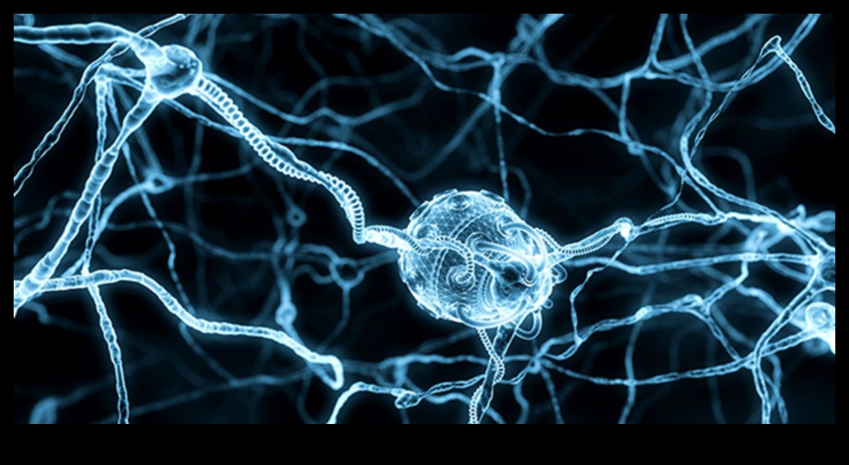 ננו חלוצים: מעצבים את העתיד של אמנות חזותית ופתרונות מדויקים