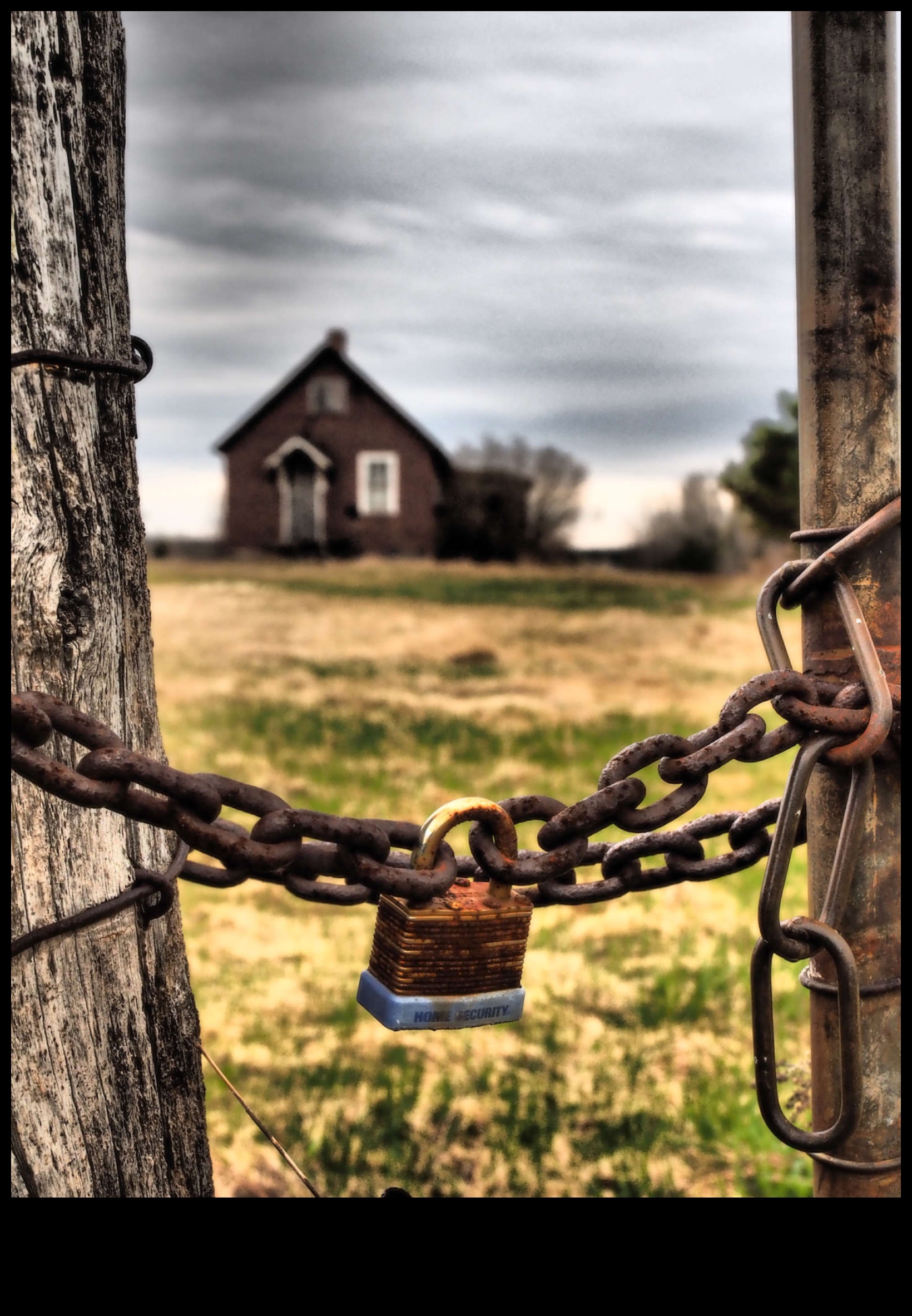 מסגור טבעי: שליטה באמנות שילוב הסביבה