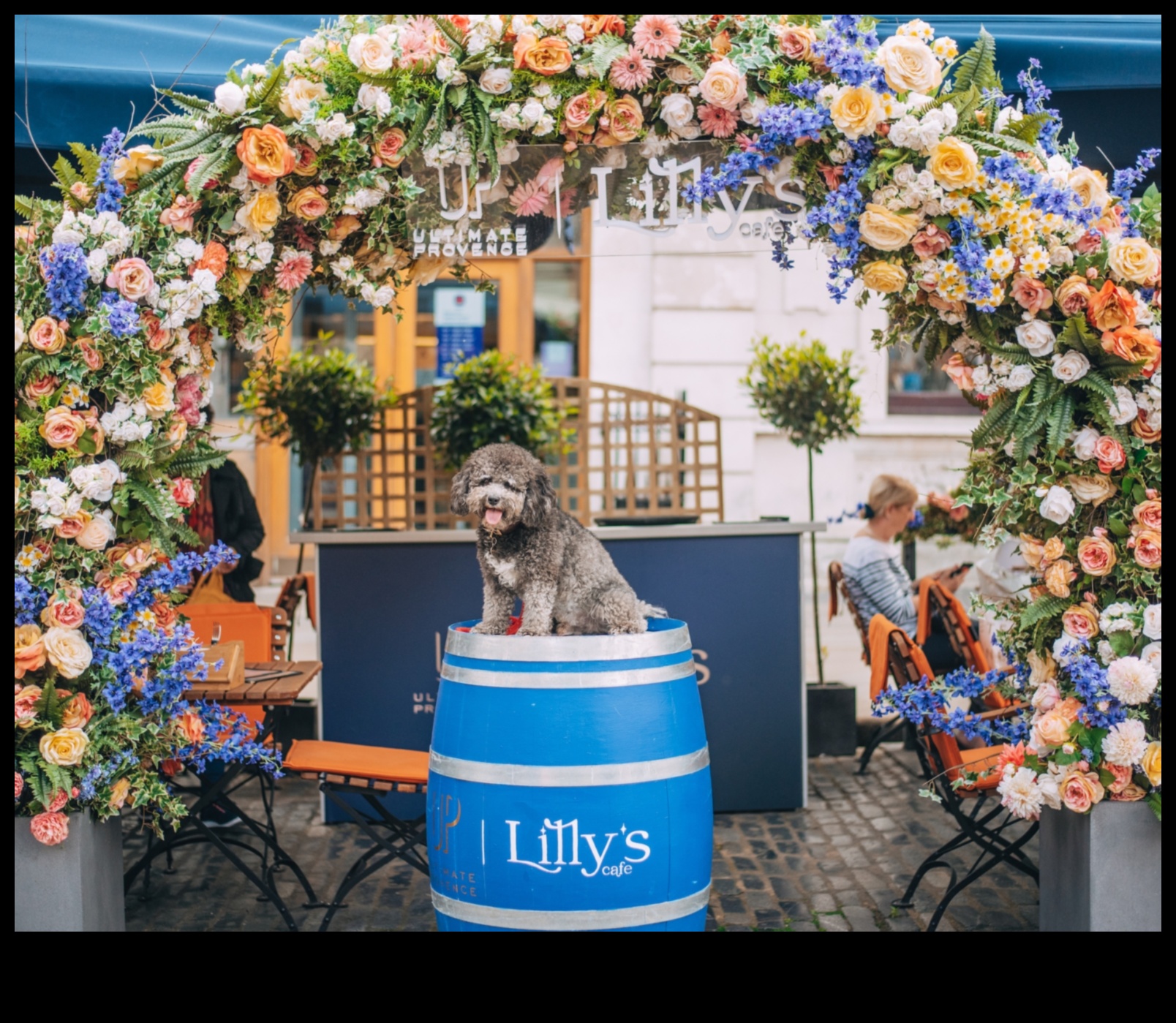 אוכל לכלבים: יצירת חווית ארוחה ידידותית לכלבים