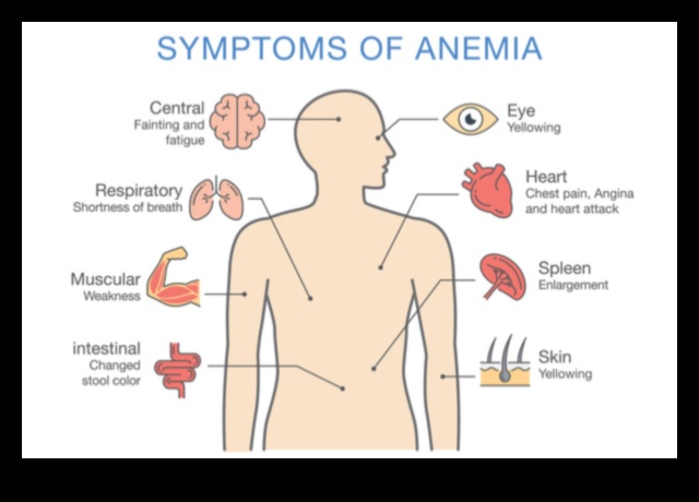 טבעונות וספיגת ברזל: שיפור הזמינות הביולוגית של חומרים מזינים