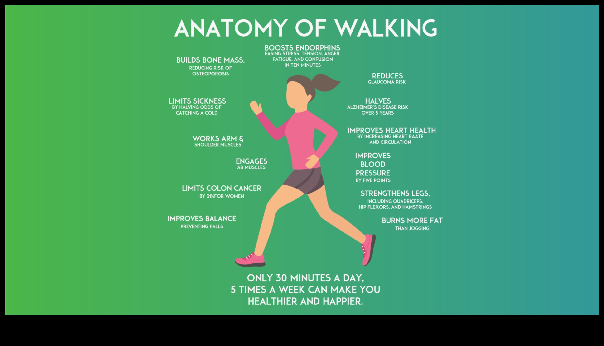 בריאות משקל: כיצד פעילות גופנית משחקת תפקיד מכריע בניהול המשקל