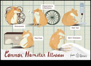 המשך בדיקת בריאות האוגר: ​​איתור סימנים מוקדמים של מחלות