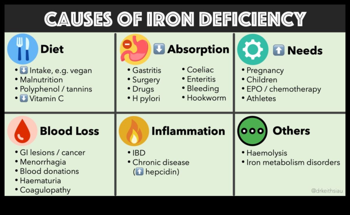 טבעונות וספיגת ברזל: שיפור הזמינות הביולוגית של חומרים מזינים