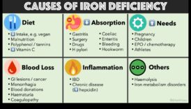 טבעונות וספיגת ברזל: שיפור הזמינות הביולוגית של חומרים מזינים