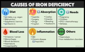 טבעונות וספיגת ברזל: שיפור הזמינות הביולוגית של חומרים מזינים