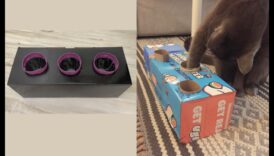 פעולות מעוררות העשרת חתולי ים בעצמך לחתול נרגש 2 העשרת חתול עשה זאת בעצמך: פעילויות ממריצות לחתול שמח