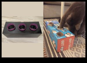 העשרת חתול עשה זאת בעצמך: פעילויות ממריצות לחתול שמח