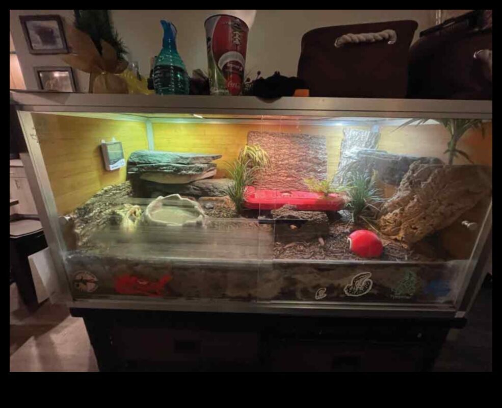 קשקשים וזנבות: בחירת המצע הנכון למתחמי זוחלים